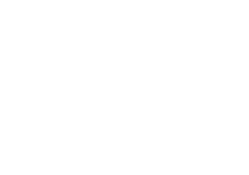 Shopify Store Development